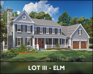 Elm